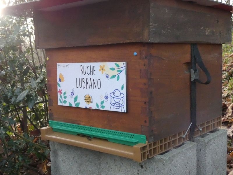 La ruche Lubrano