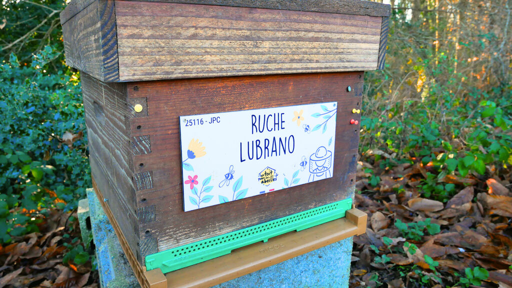 La ruche Lubrano