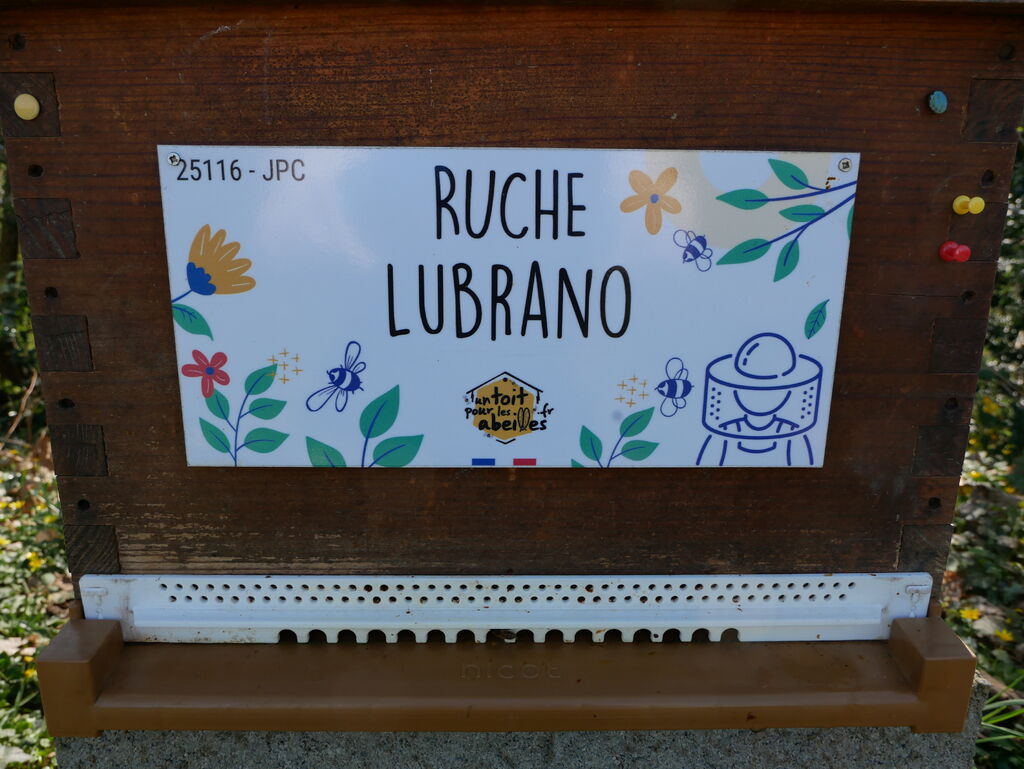 La ruche Lubrano