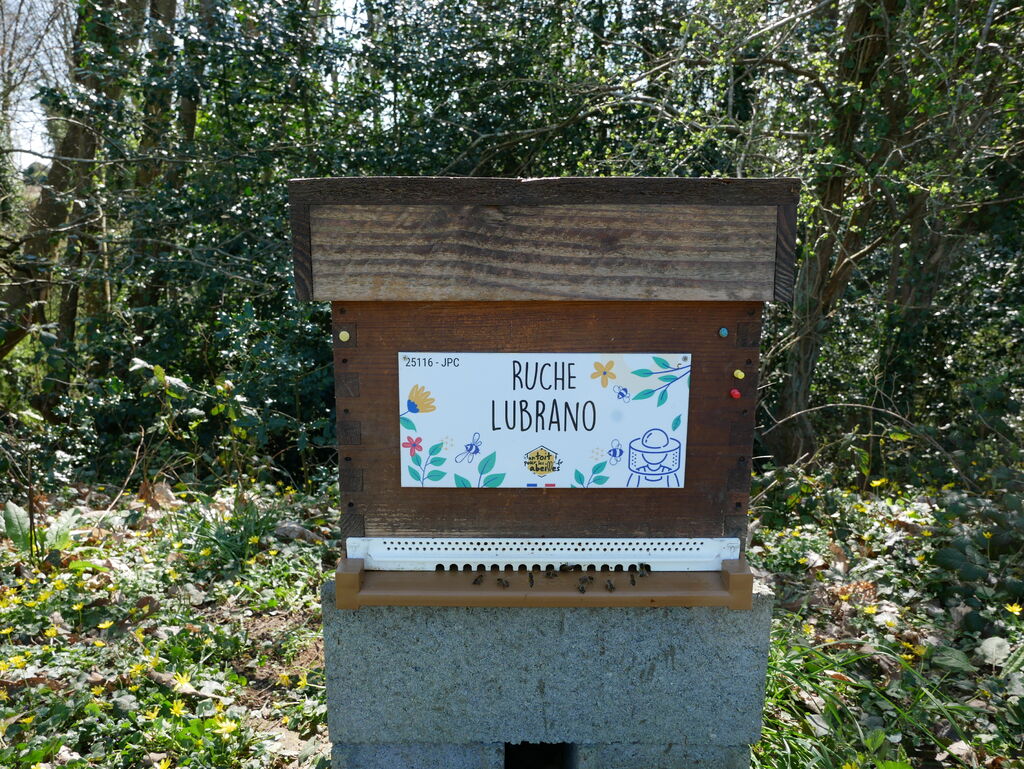 La ruche Lubrano