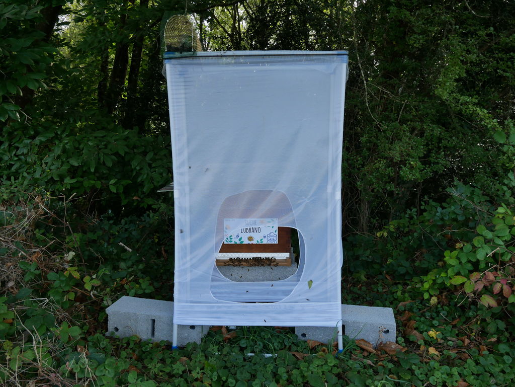La ruche Lubrano