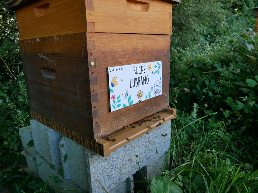 La ruche Lubrano