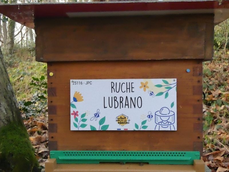 La ruche Lubrano