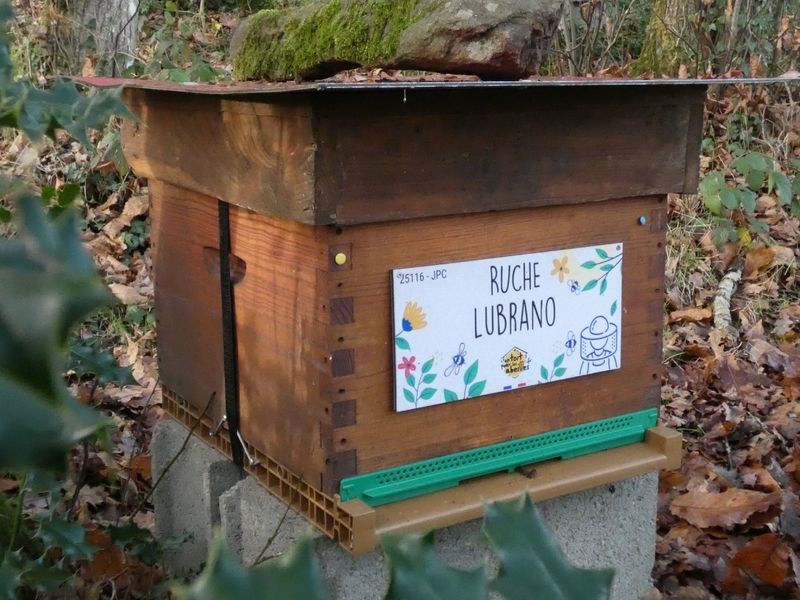 La ruche Lubrano