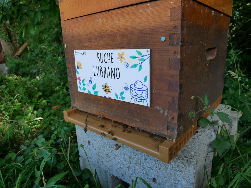 La ruche Lubrano