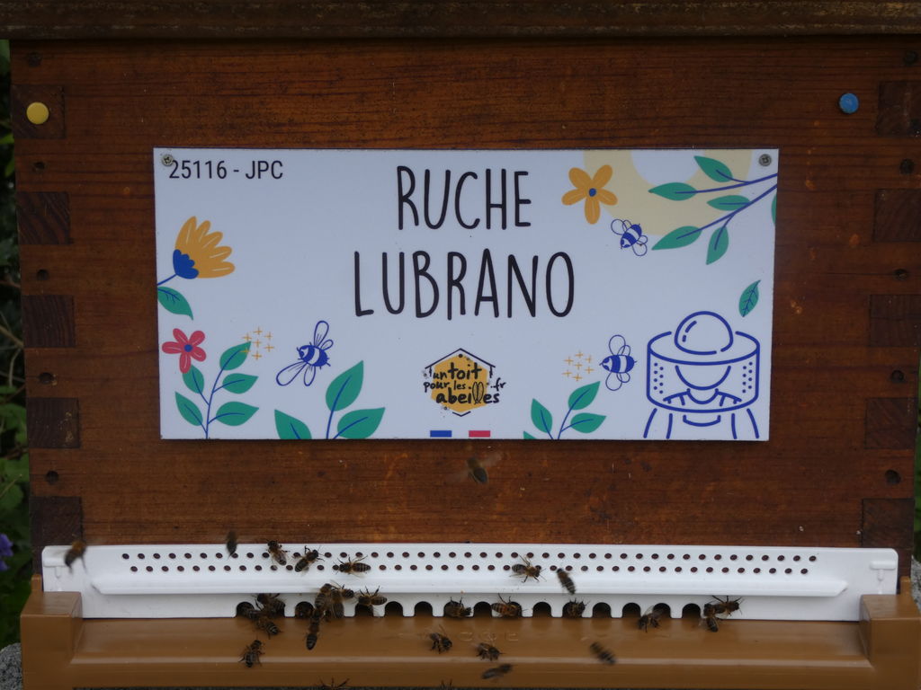 La ruche Lubrano