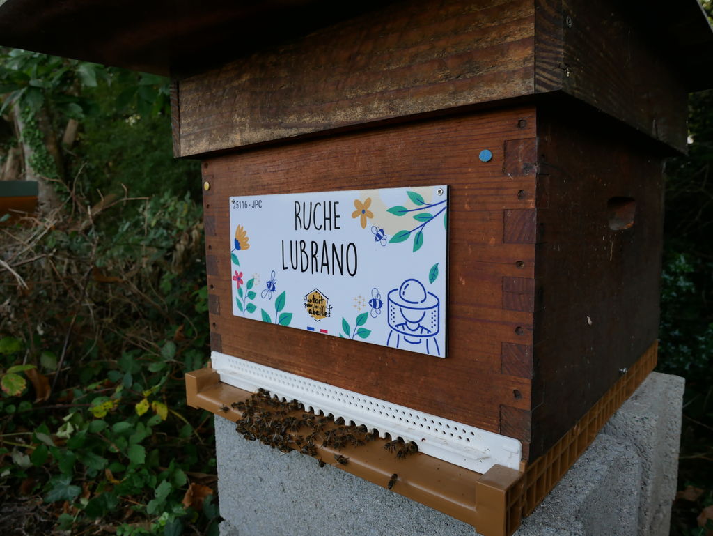 La ruche Lubrano