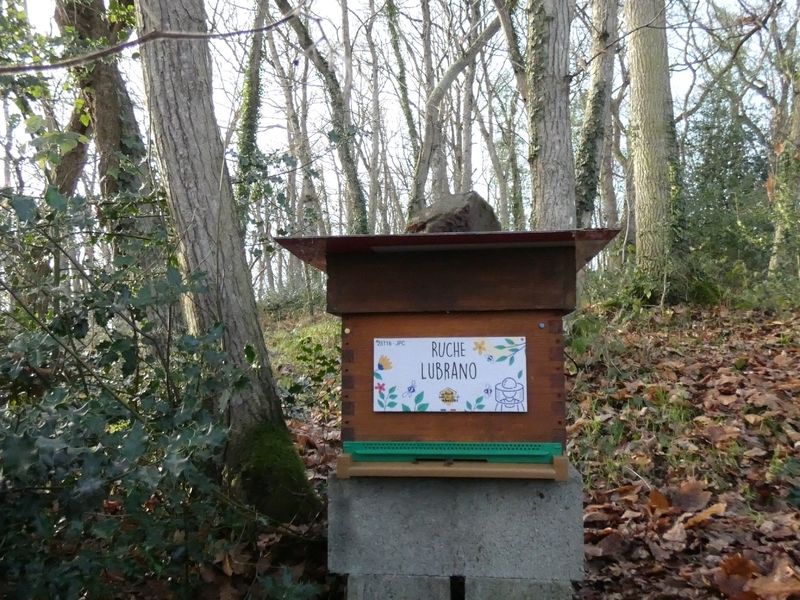 La ruche Lubrano
