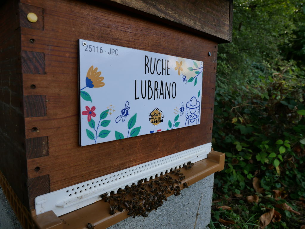 La ruche Lubrano
