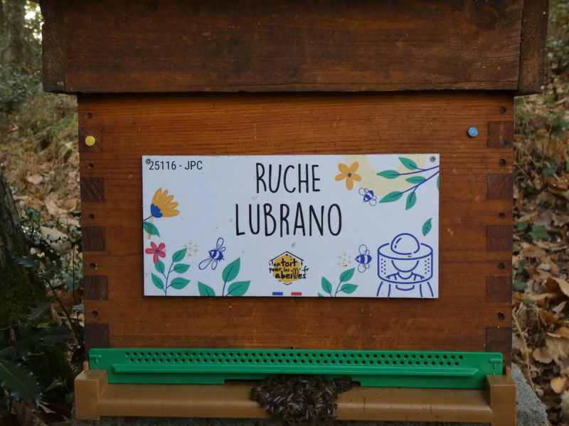 La ruche Lubrano