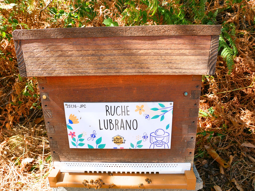 La ruche Lubrano
