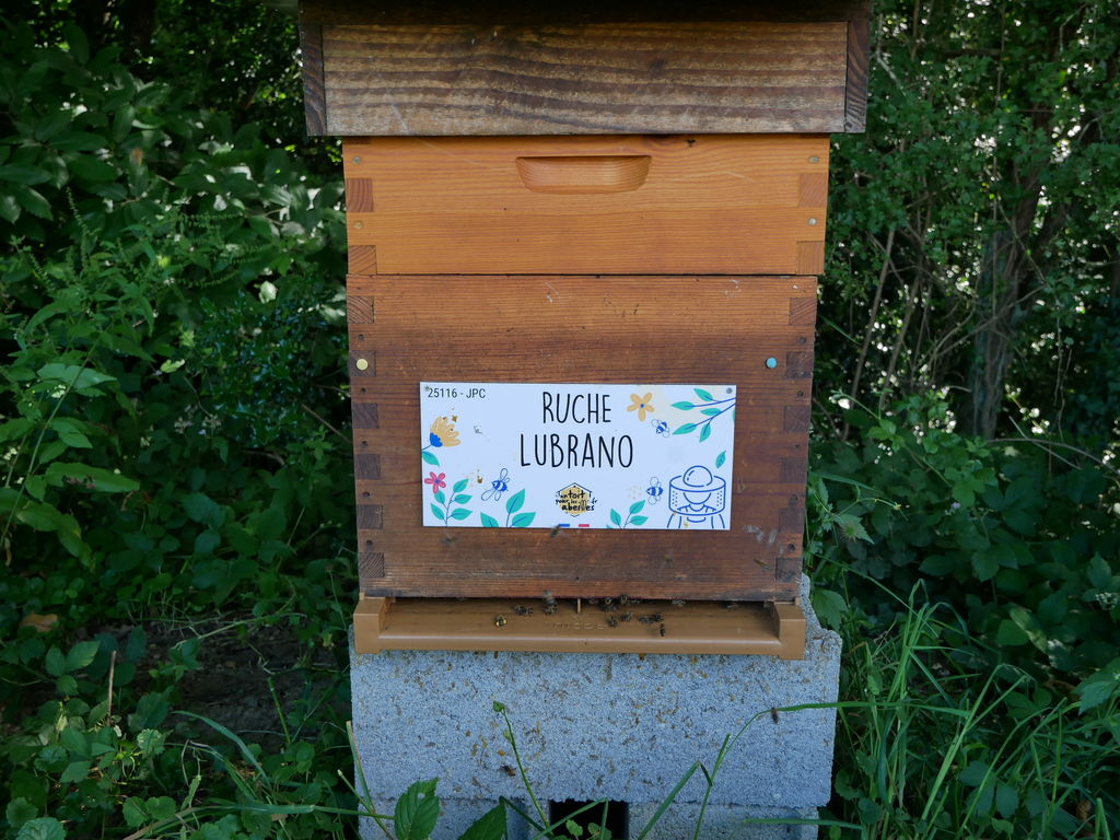 La ruche Lubrano