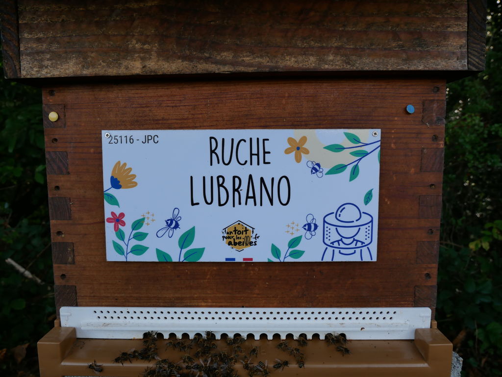 La ruche Lubrano