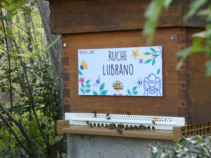 La ruche Lubrano