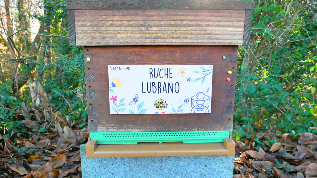 La ruche Lubrano