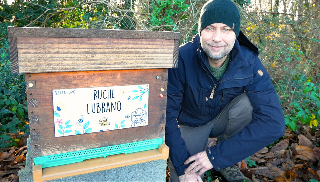 La ruche Lubrano