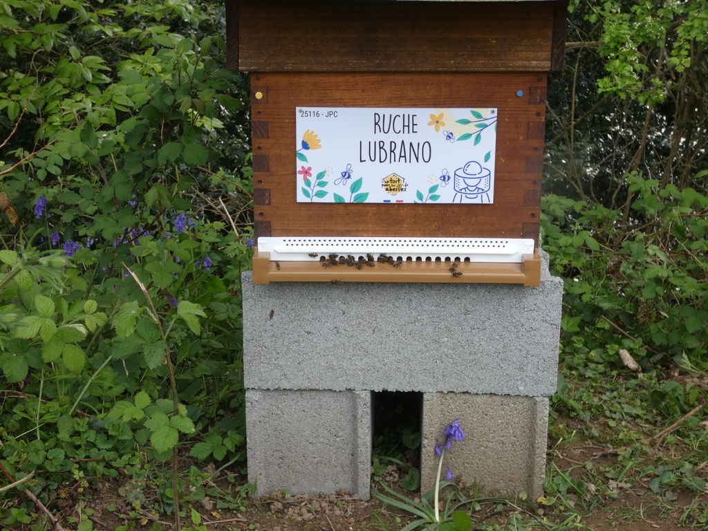 La ruche Lubrano