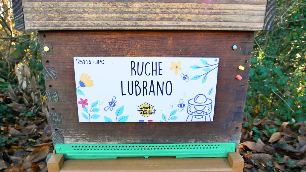 La ruche Lubrano