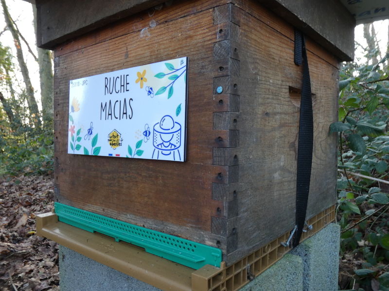 La ruche Macias