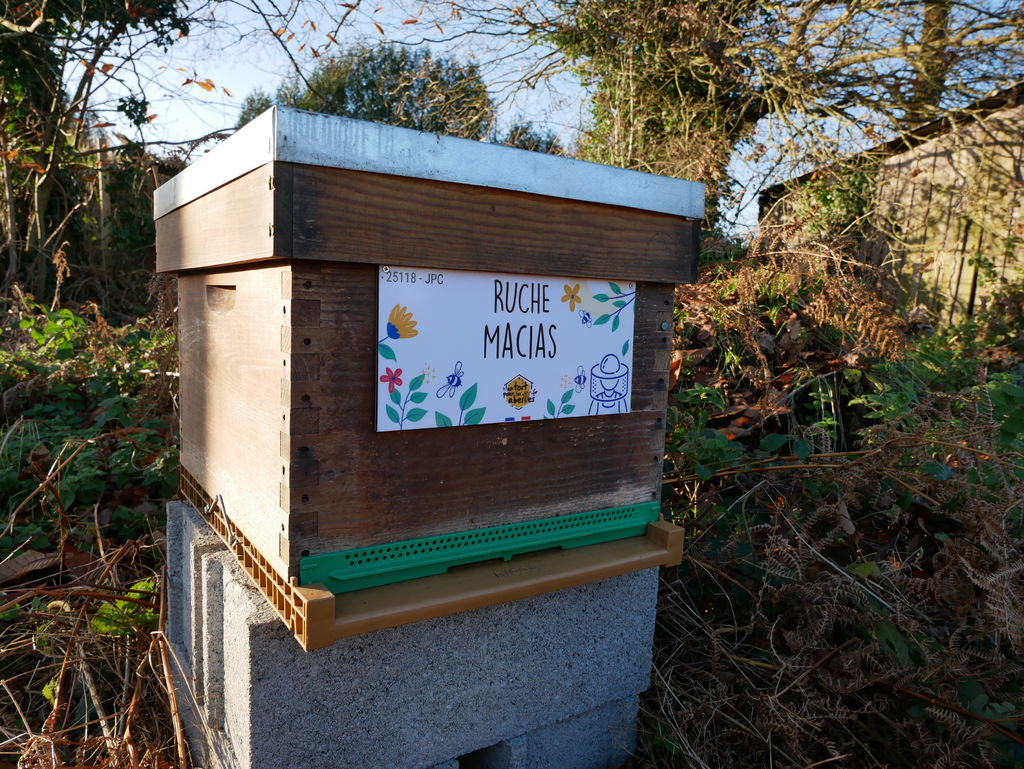 La ruche Macias