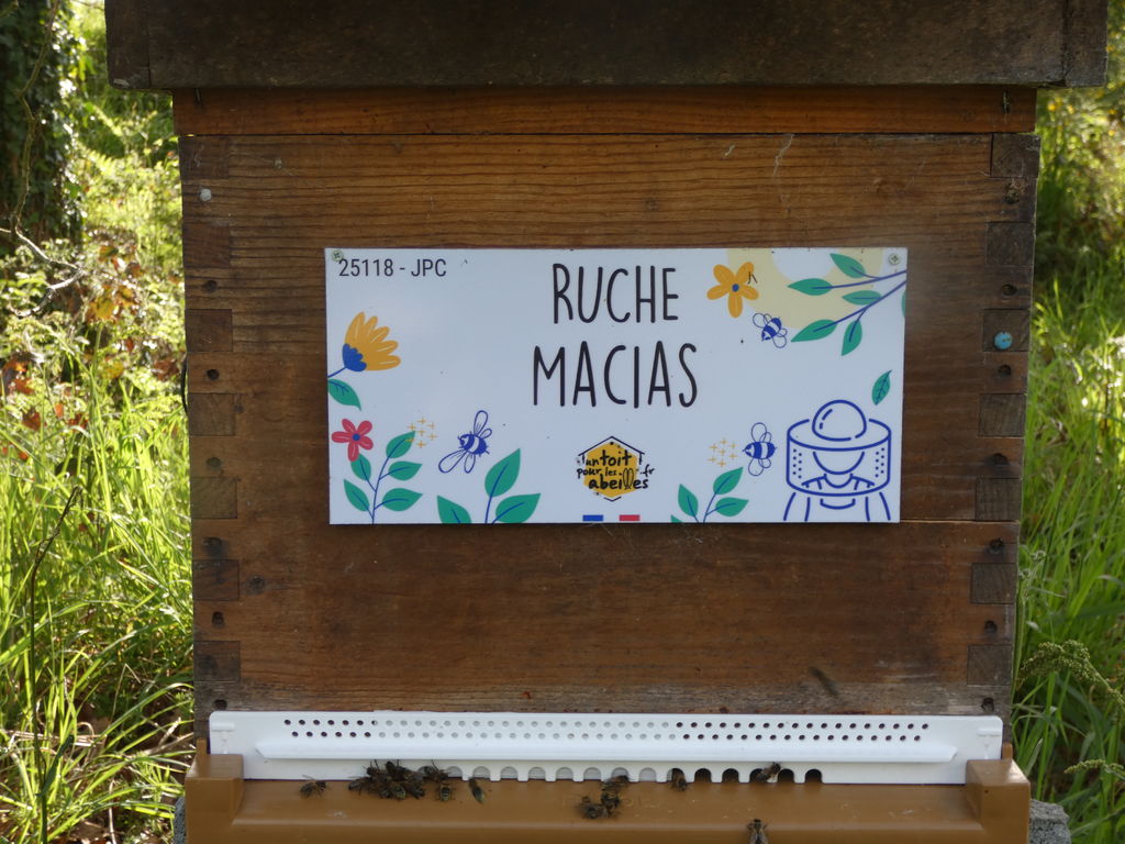 La ruche Macias
