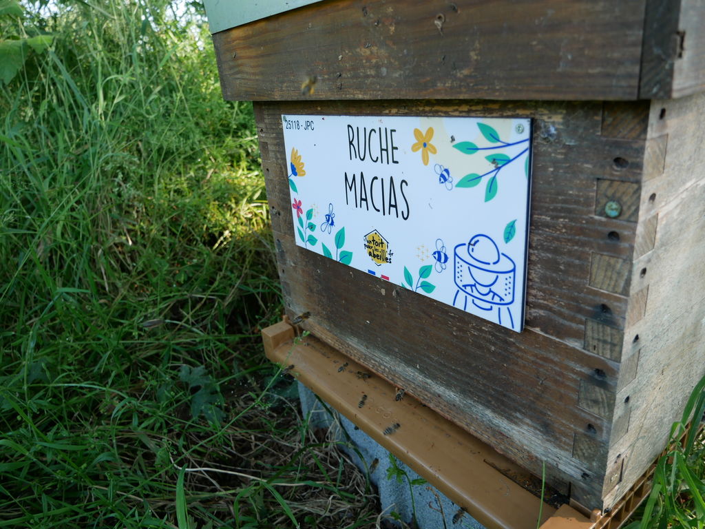 La ruche Macias