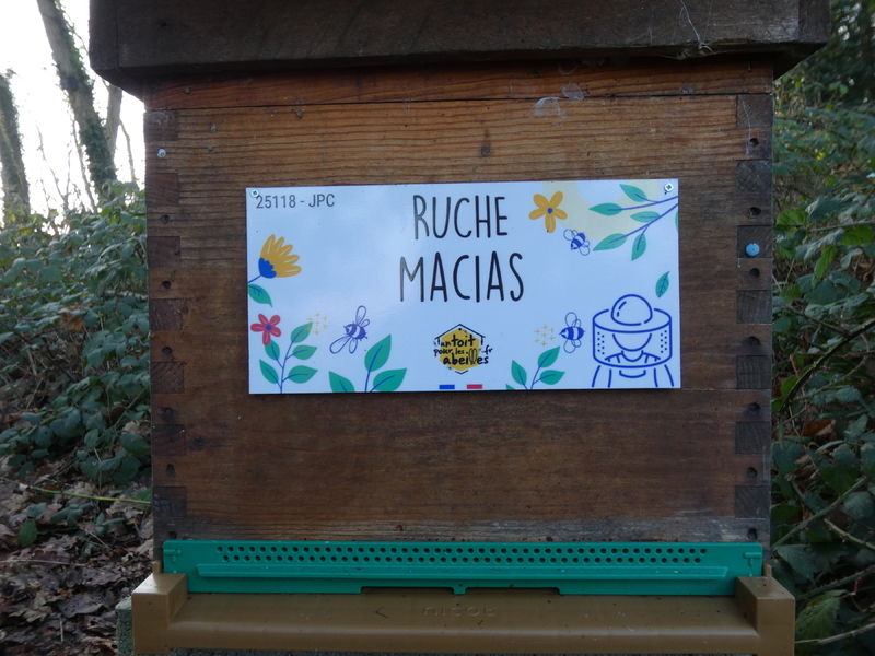 La ruche Macias