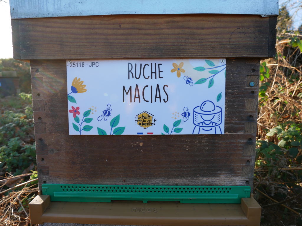 La ruche Macias