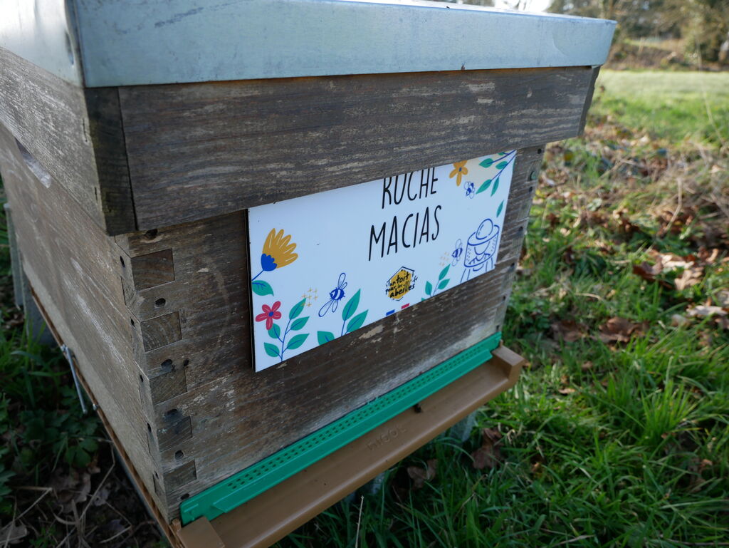 La ruche Macias