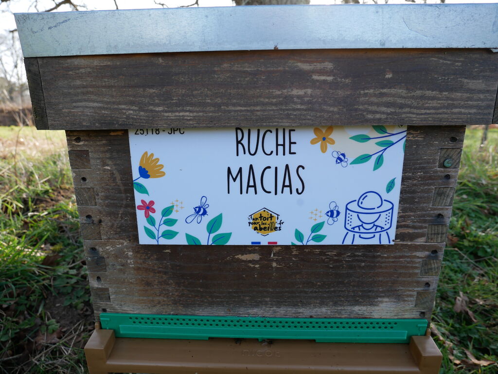 La ruche Macias