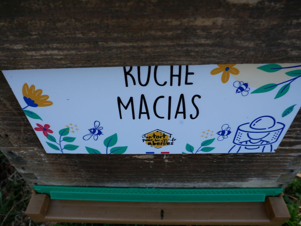 La ruche Macias