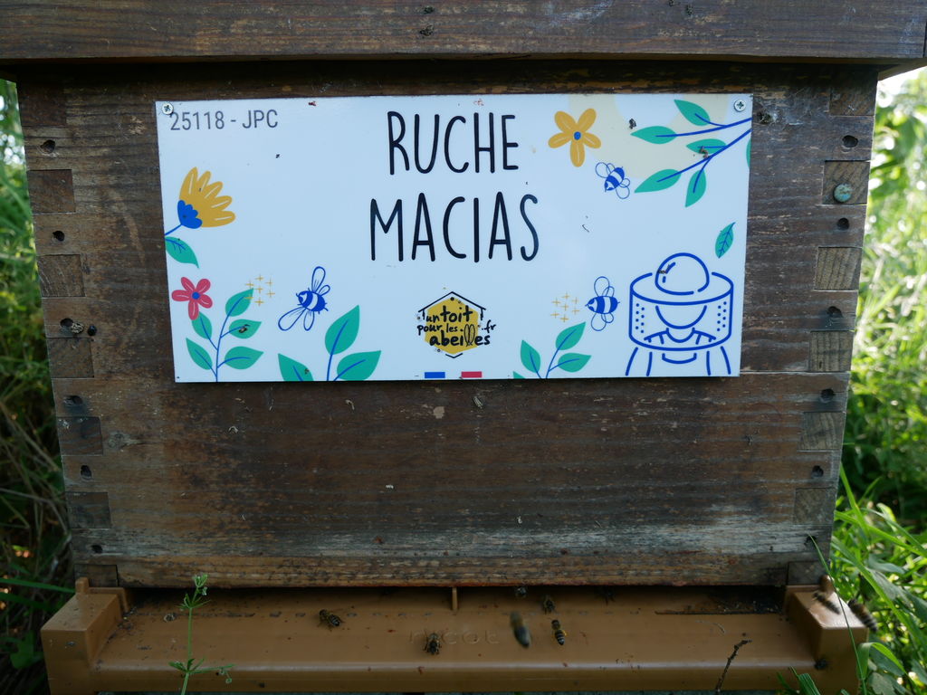 La ruche Macias