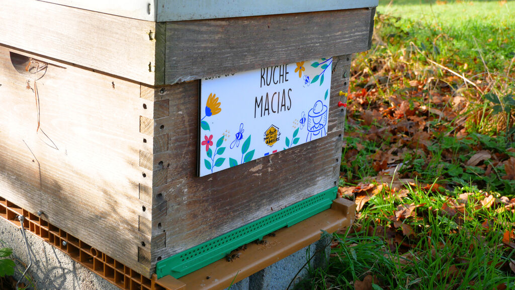 La ruche Macias