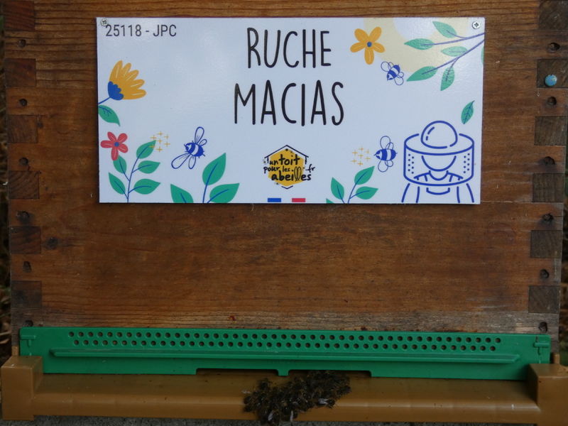 La ruche Macias