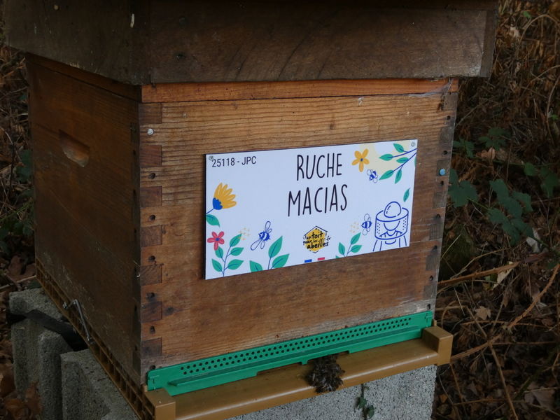 La ruche Macias