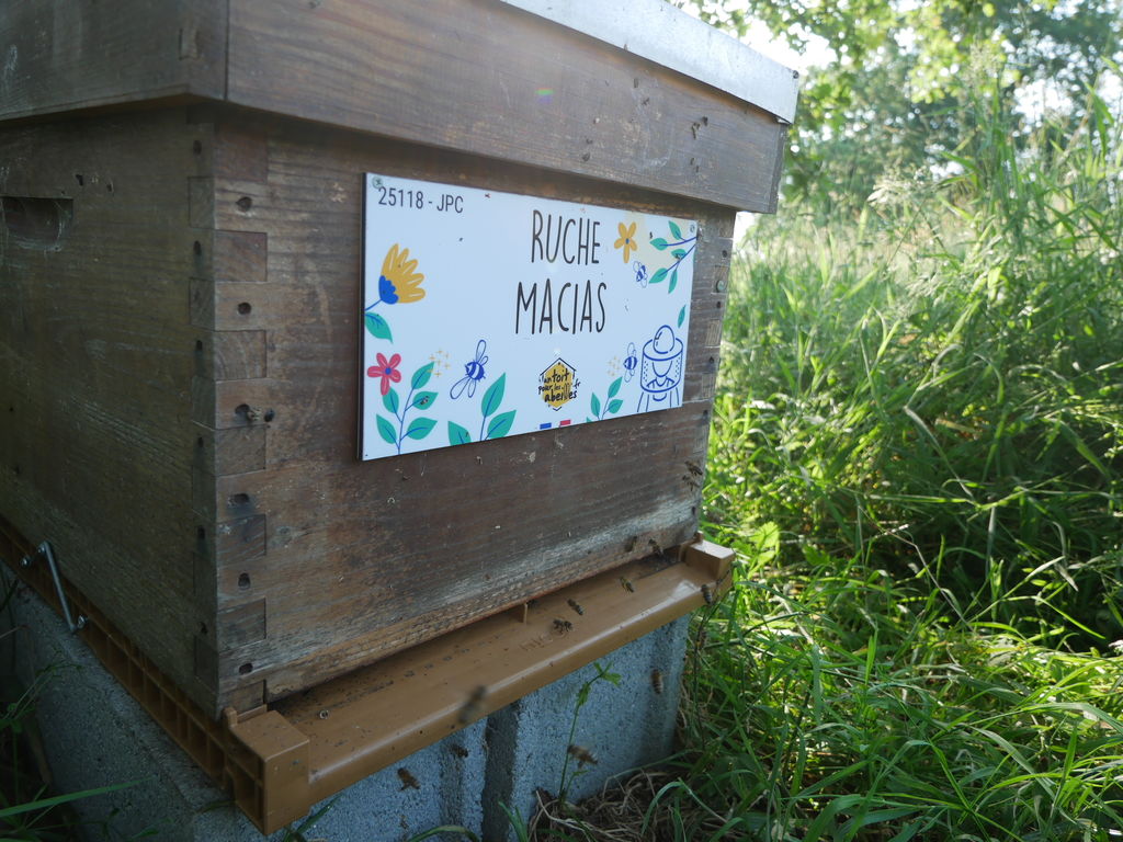 La ruche Macias