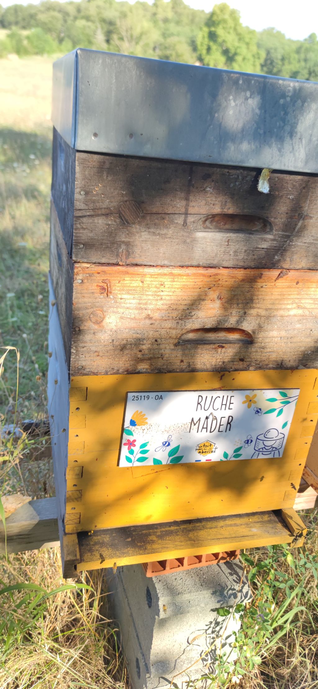La ruche Mader