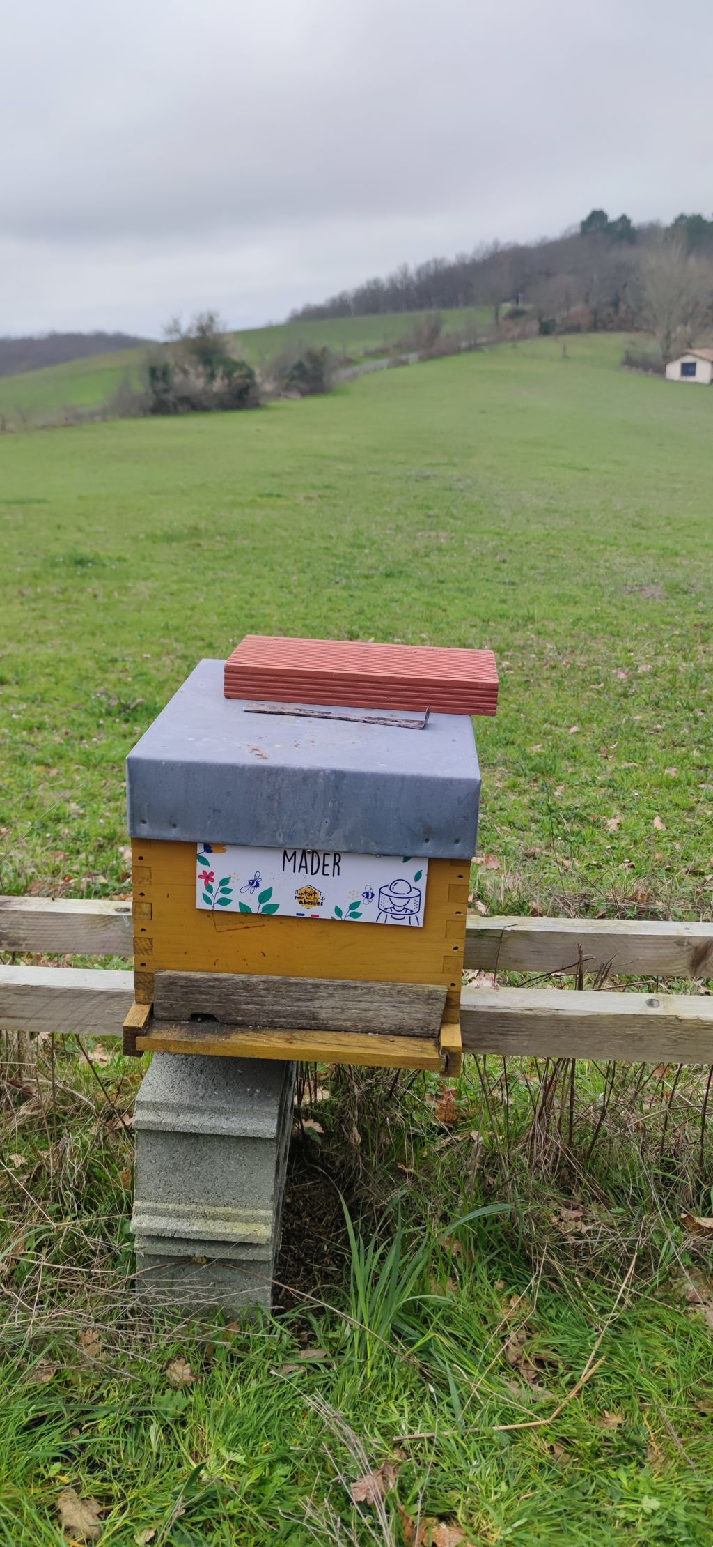 La ruche Mader