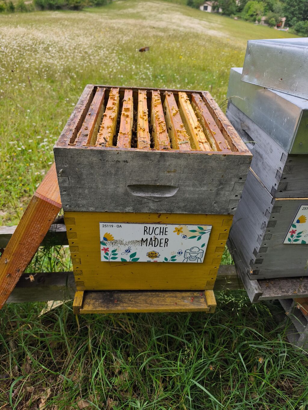 La ruche Mader