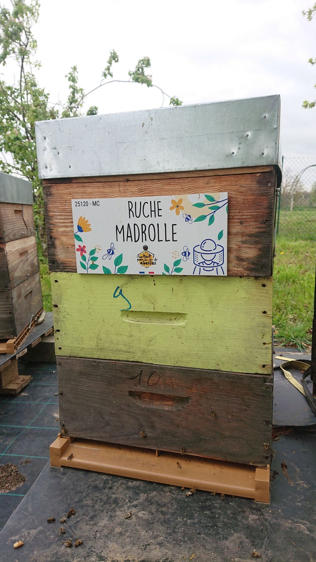 La ruche