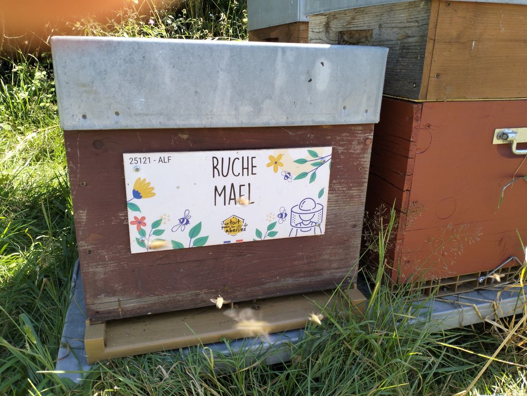 La ruche Mael