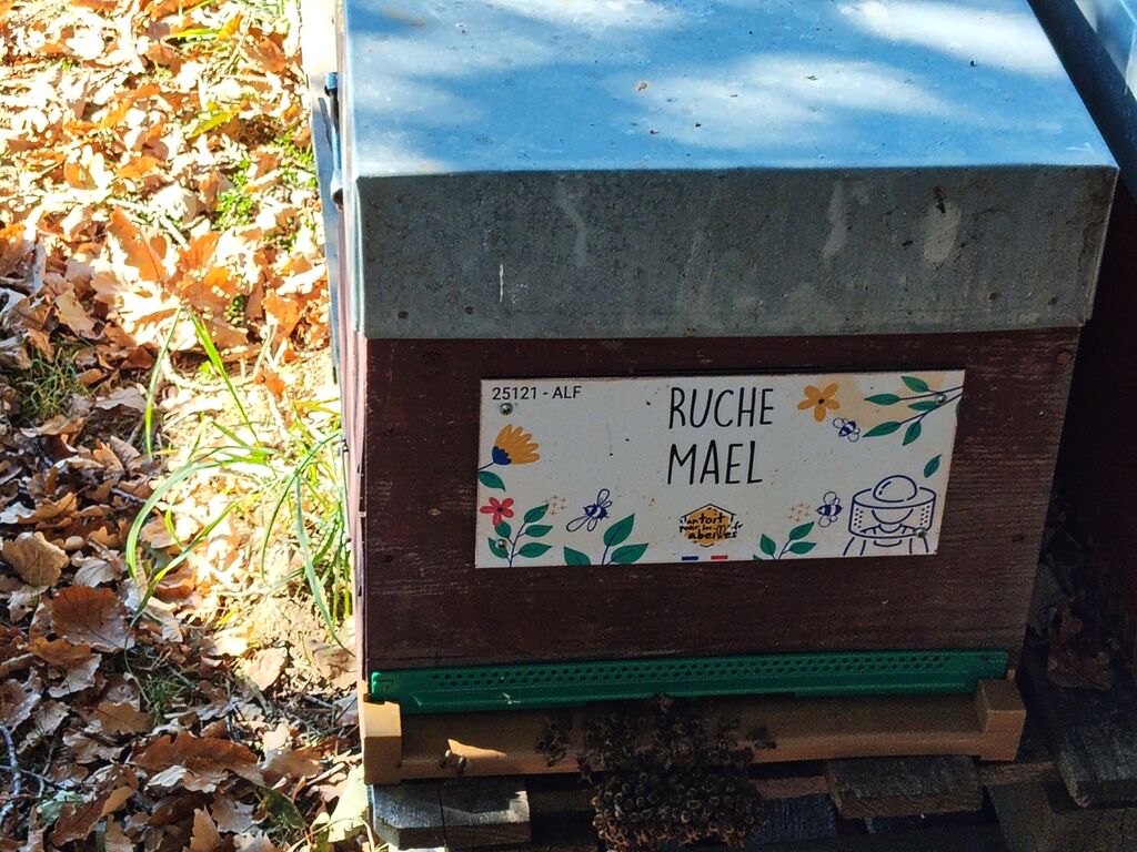 La ruche Mael