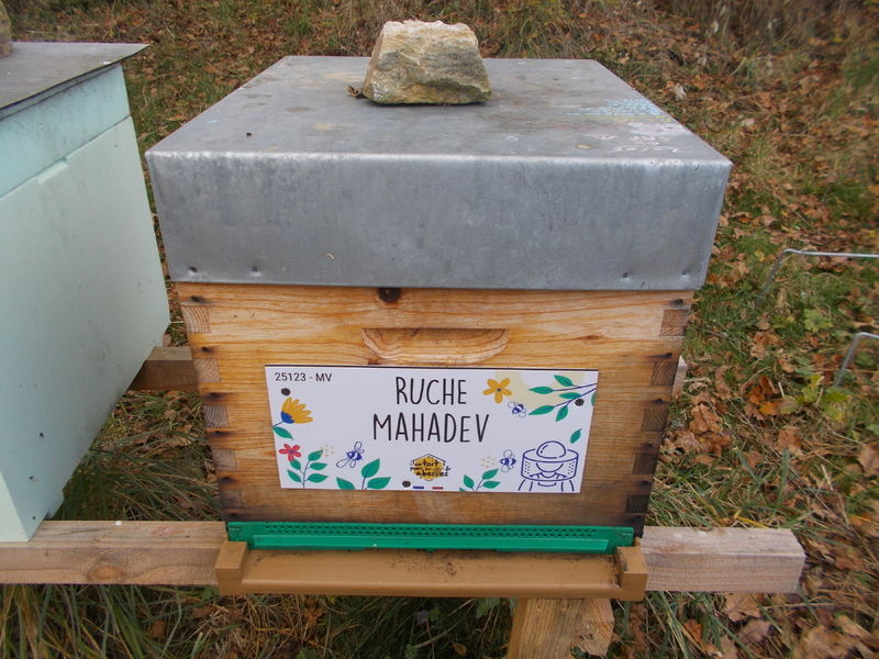 La ruche Mahadev