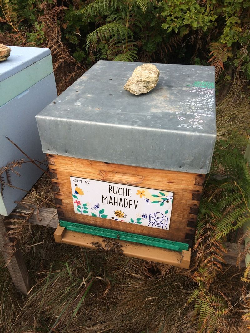 La ruche Mahadev