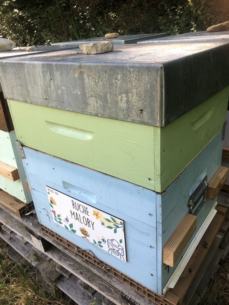 La ruche Malory