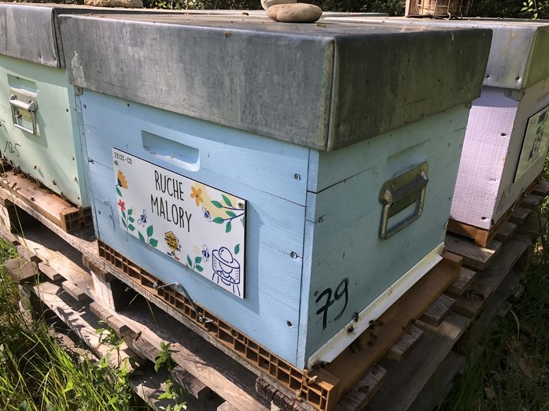 La ruche Malory