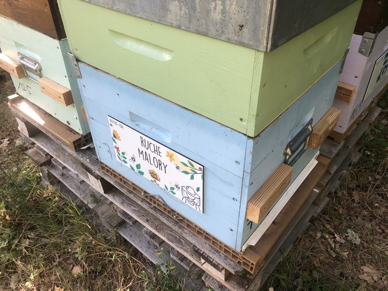 La ruche Malory