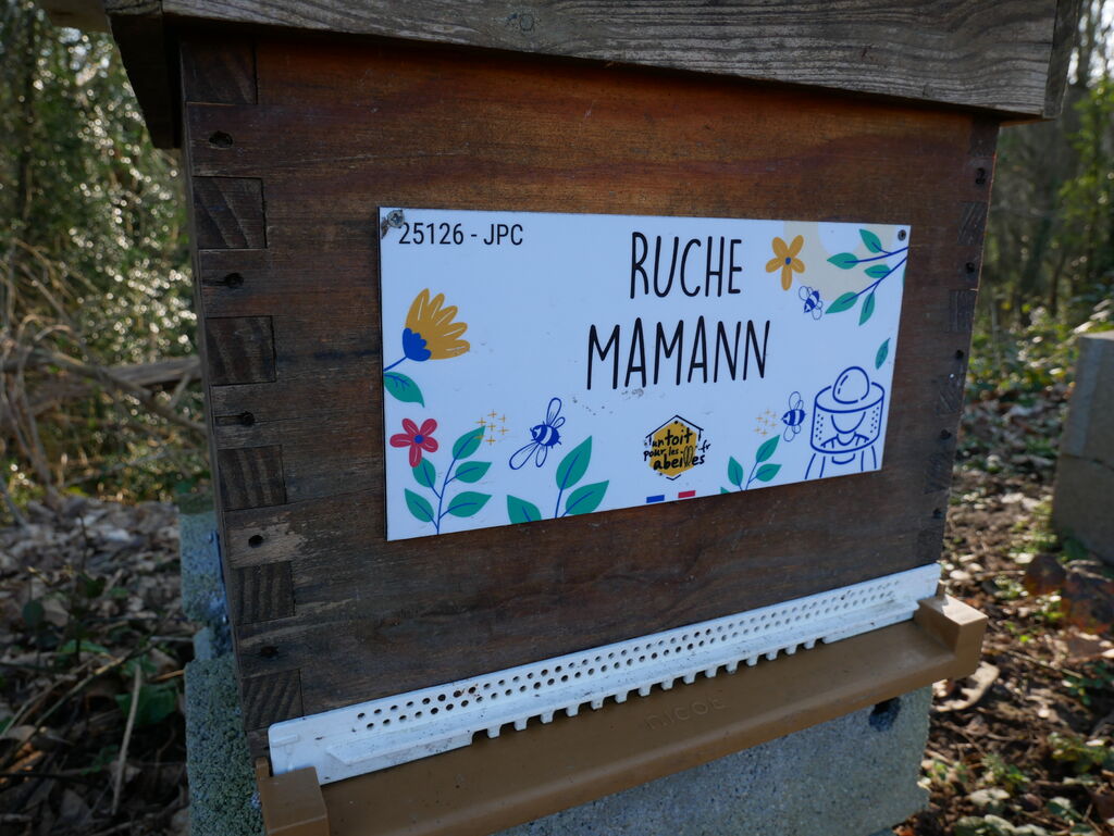 La ruche Mamann