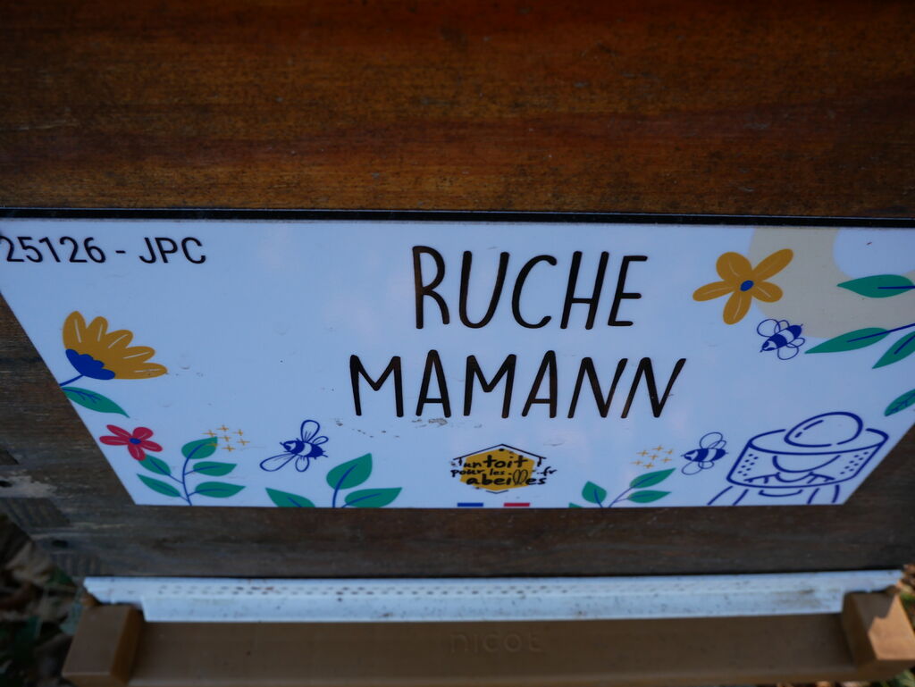 La ruche Mamann