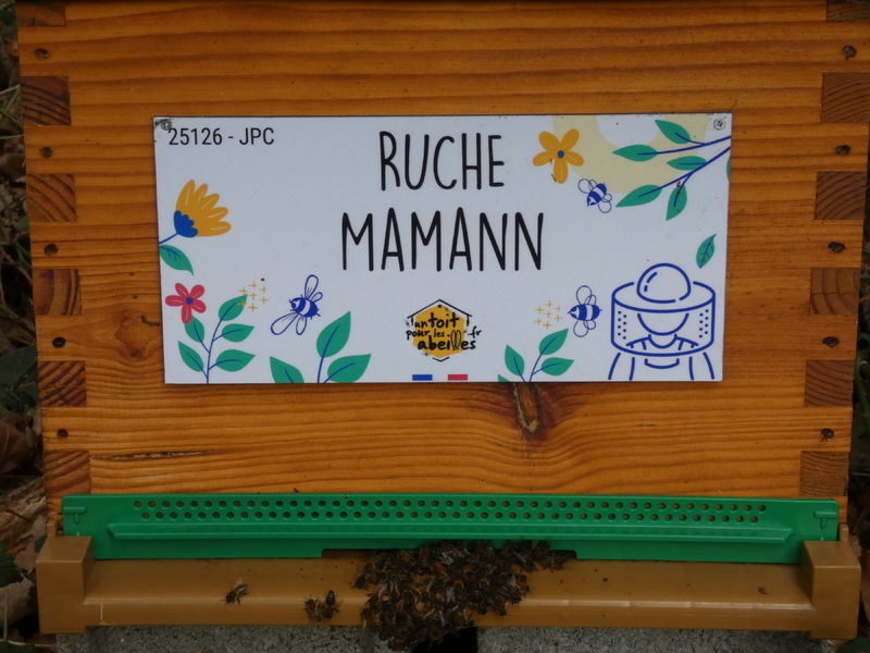 La ruche Mamann